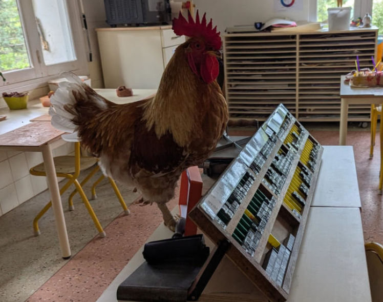 Illustration de l'article La pratique du texte libre; Comment transformer sa classe?